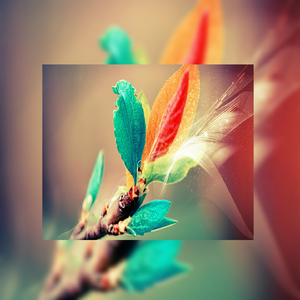 性奴调教视频外网网站
